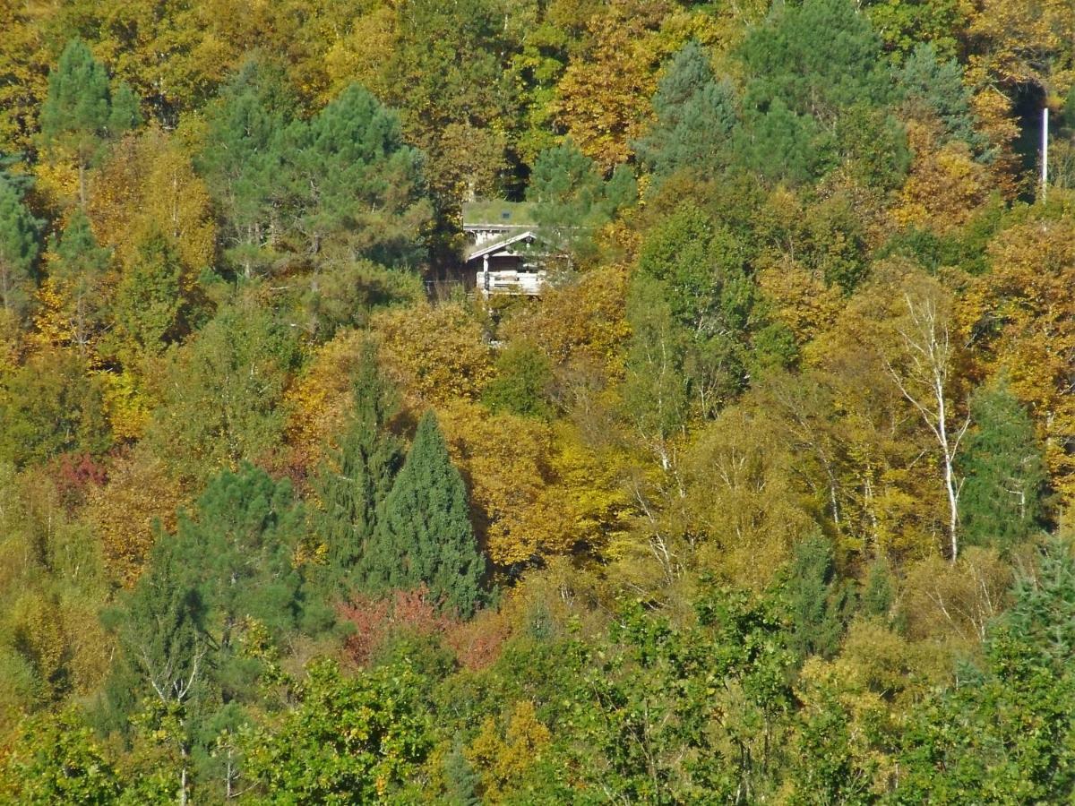 La cabane de Hans Saint-Martial-de-Gimel Exterior foto
